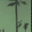 Tropical Africa (Routledge Introductions to Development)
