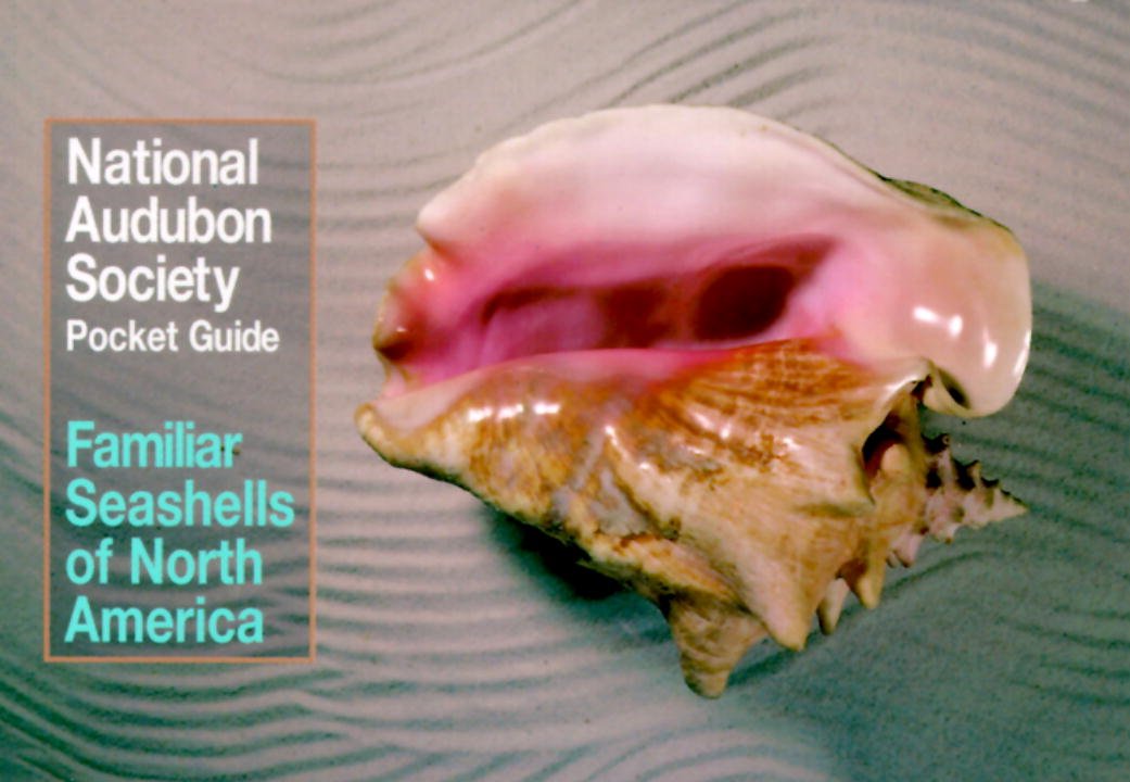 National Audubon Society Pocket Guide to Familiar Seashells (Audubon Society Pocket Guides)