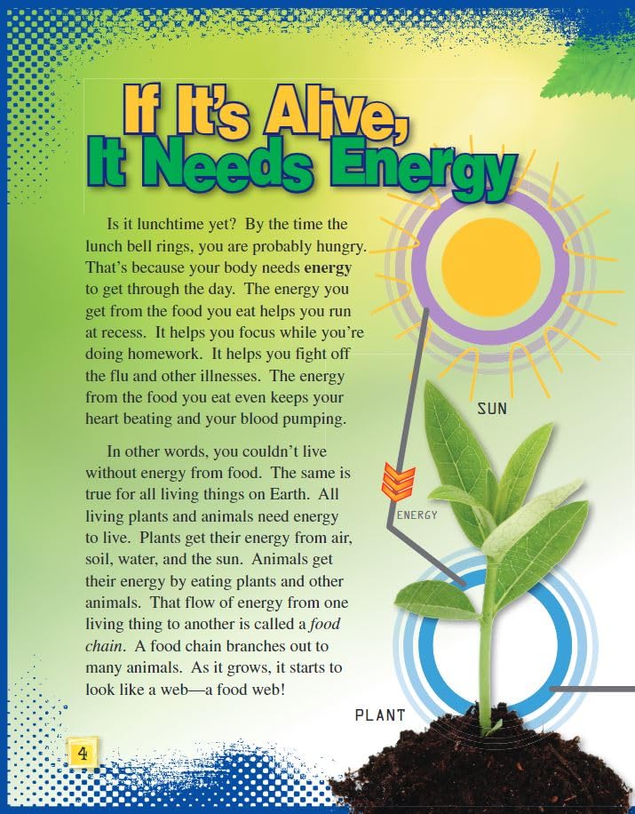 Food Webs (Science Readers: Content and Literacy)