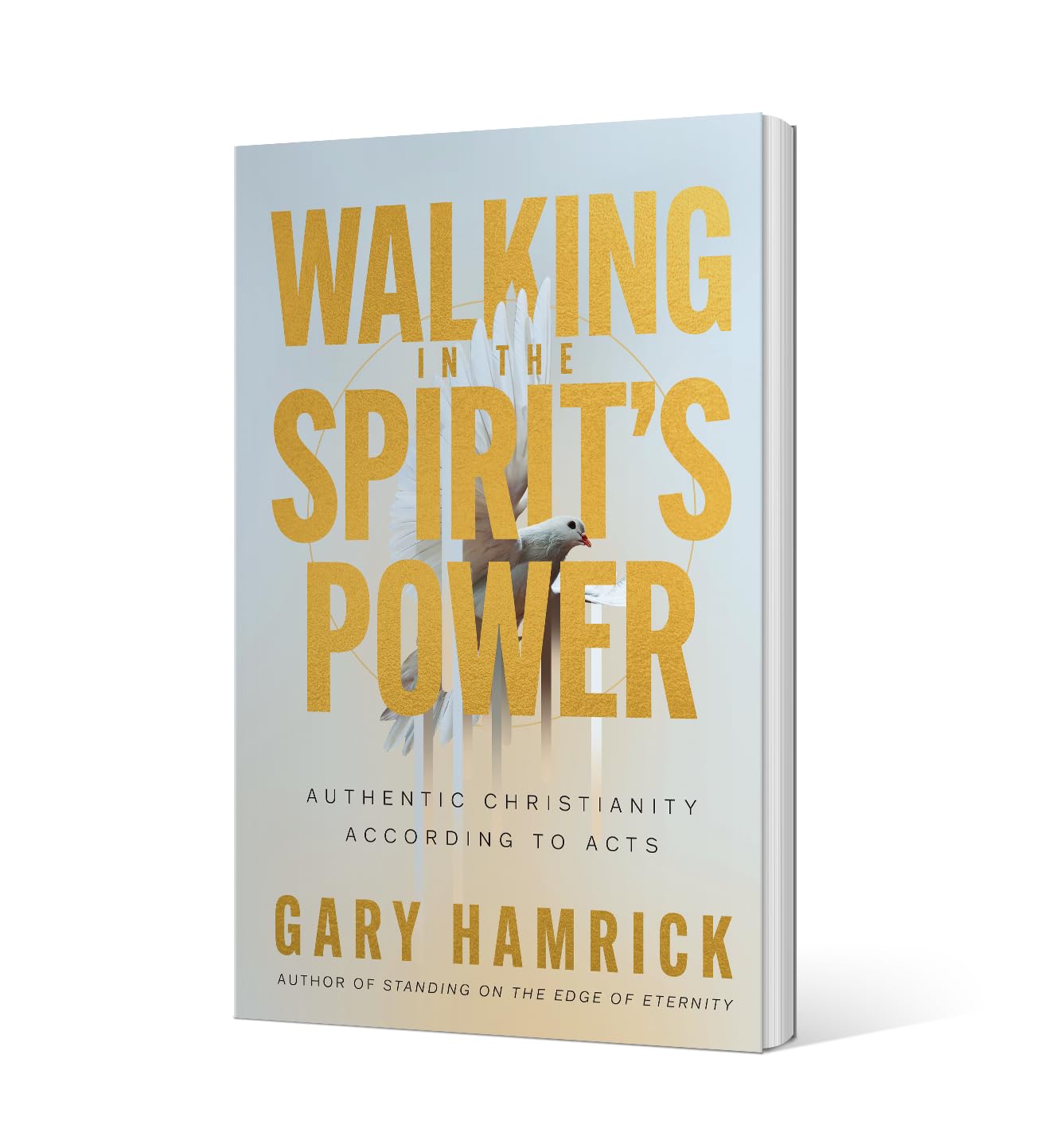 Walking in the Spirits Power: A Chapter by Chapter Study of Acts for Experiencing Authentic Christianity