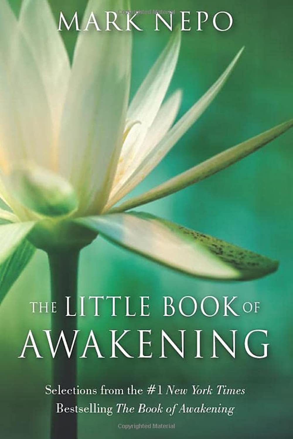 The Little Book of Awakening: Selections from the #1 New York Times Bestselling The Book of Awakening