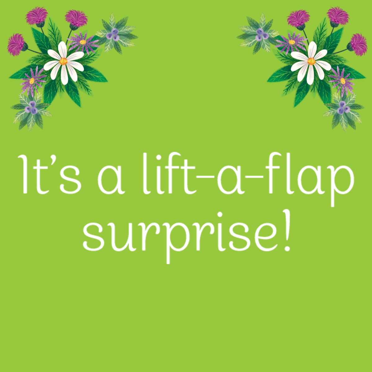 Summer In The Forest Deluxe Lift-a-Flap & Pop-Up Seasons Children's Board Book (Pop-Up Surprise)