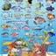 Virgin Islands Reef Creatures Guide Franko Maps Laminated Fish Card 4" x 6"