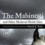 Mabinogi and Other Medieval Welsh Tales by Ford, Patrick K.