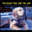 The Right Dog for the Job: Ira's Path from Service Dog to Guide Dog