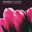 Favored Flowers: Culture and Economy in a Global System