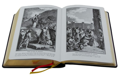 Douay-Rheims Bible {Standard size - Black Flex Cover}