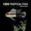 1200 Tropical Fish: An Illustrated Guide to 1200 Fish Species from Around the World