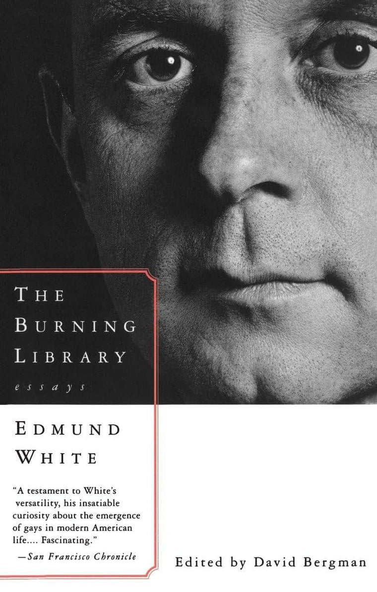 The Burning Library: Essays