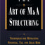 The Art of M&A Structuring: Techniques for Mitigating Financial, Tax, and Legal Risk