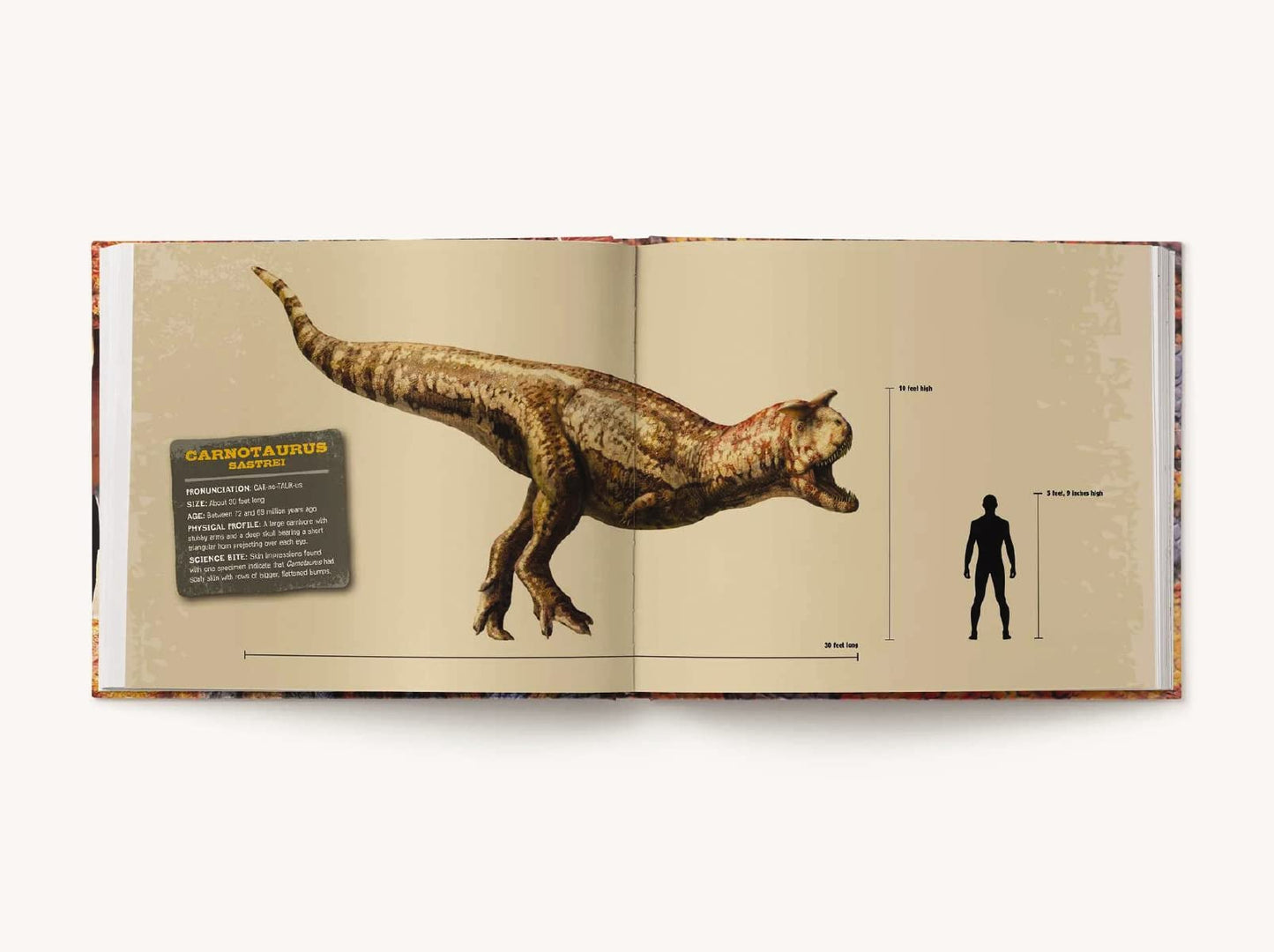 Prehistoric Predators: The Biggest Carnivores of the Prehistoric World (Discovering)