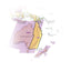Australia East Map (National Geographic Adventure Map, 3502)