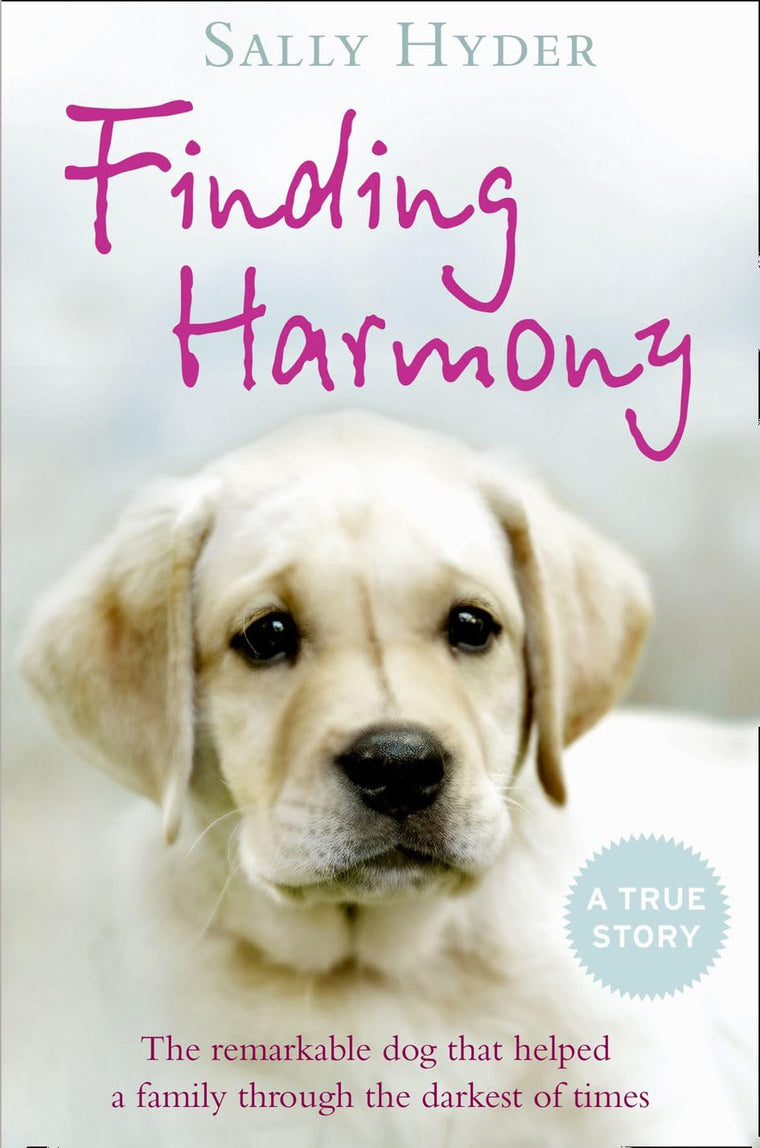 Finding Harmony: The remarkable dog that helped a family through the darkest of times
