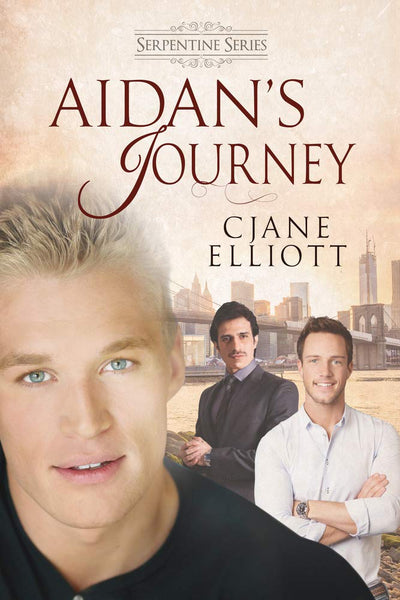 Aidan's Journey (The Serpentine)