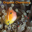 Organic Chemistry