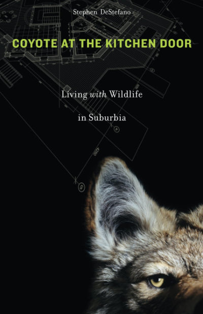 Coyote at the Kitchen Door: Living with Wildlife in Suburbia