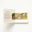 Aesop's Fables Oversized Padded Board Book: The Classic Edition