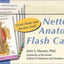 Netter's Anatomy Flash Cards