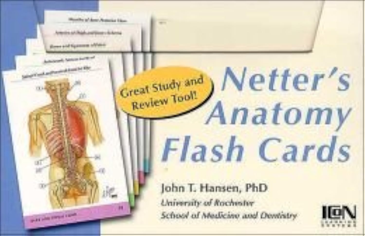 Netter's Anatomy Flash Cards