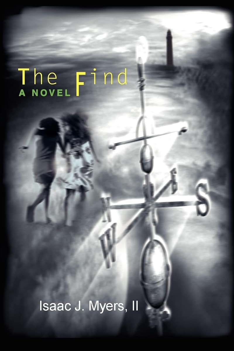 The Find: A Novel