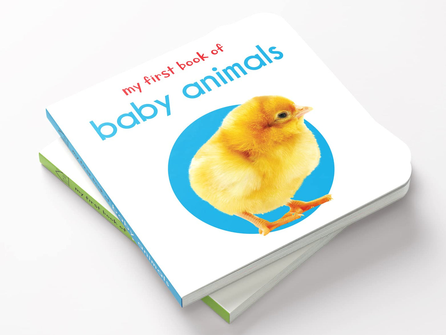 My First Book of Baby Animals: First Board Book