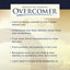 Overcomer - Bible Study Book: What Do You Allow to Define You?