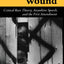 Words That Wound: Critical Race Theory, Assaultive Speech, And The First Amendment (New Perspectives on Law, Culture, and Society)