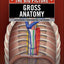 Gross Anatomy: The Big Picture (LANGE The Big Picture)