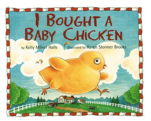 I Bought a Baby Chicken