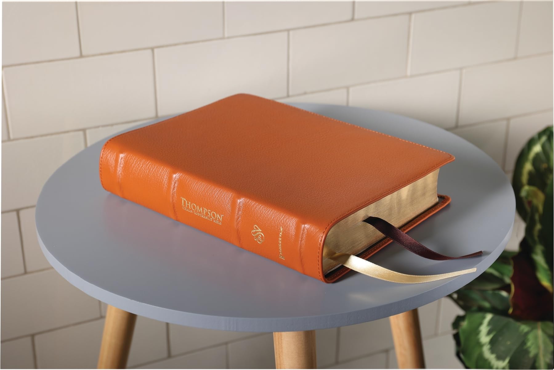 ESV, Thompson Chain-Reference Bible, Genuine Leather, Calfskin, Tan, Red Letter
