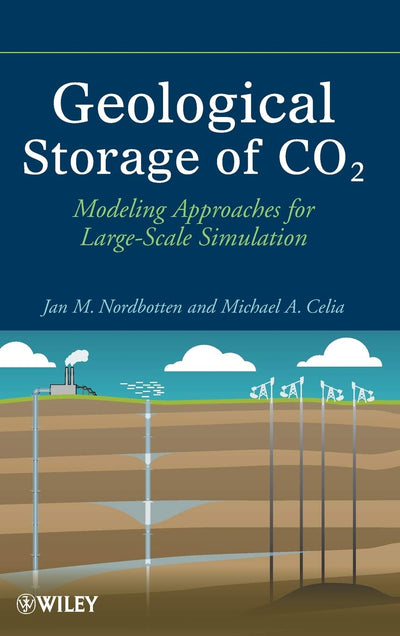 Geological Storage of CO2: Modeling Approaches for Large-Scale Simulation