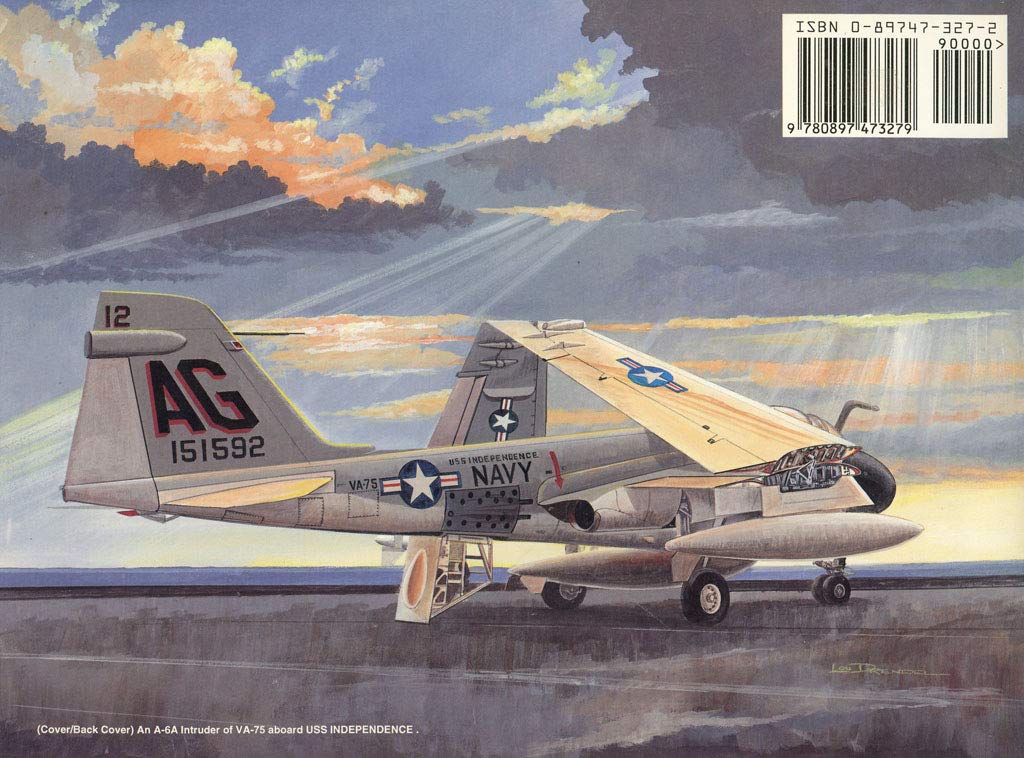 A-6 Intruder - Walk Around No. 2