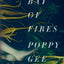 Bay of Fires: A Novel