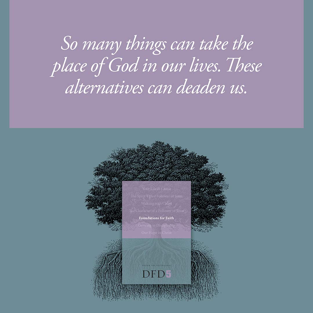 Foundations for Faith (Design for Discipleship)