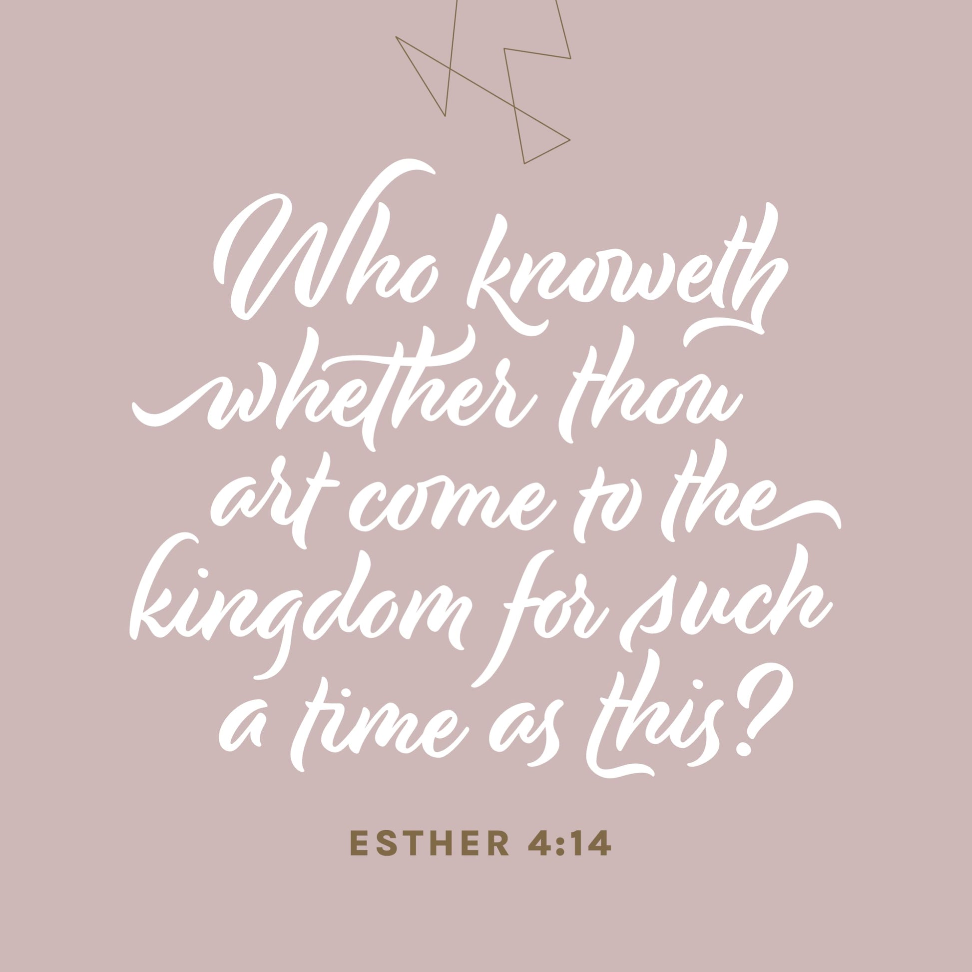 KJV Every Woman's Bible, Filament Enabled (LeatherLike, Periwinkle Purple, Red Letter)