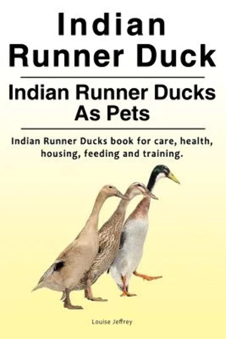 Indian Runner Duck. Indian Runner Ducks As Pets. Indian Runner Ducks book for care, health, housing, feeding and training.