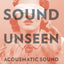 Sound Unseen: Acousmatic Sound in Theory and Practice