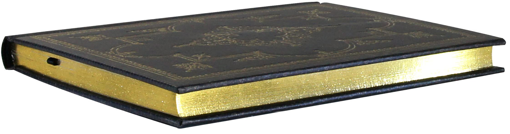 Obsidian Journal (Diary, Notebook)
