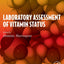 Laboratory Assessment of Vitamin Status