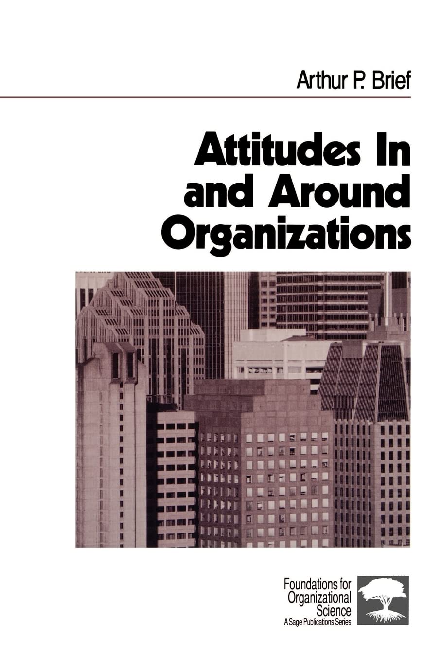 Attitudes In and Around Organizations (Foundations for Organizational Science)