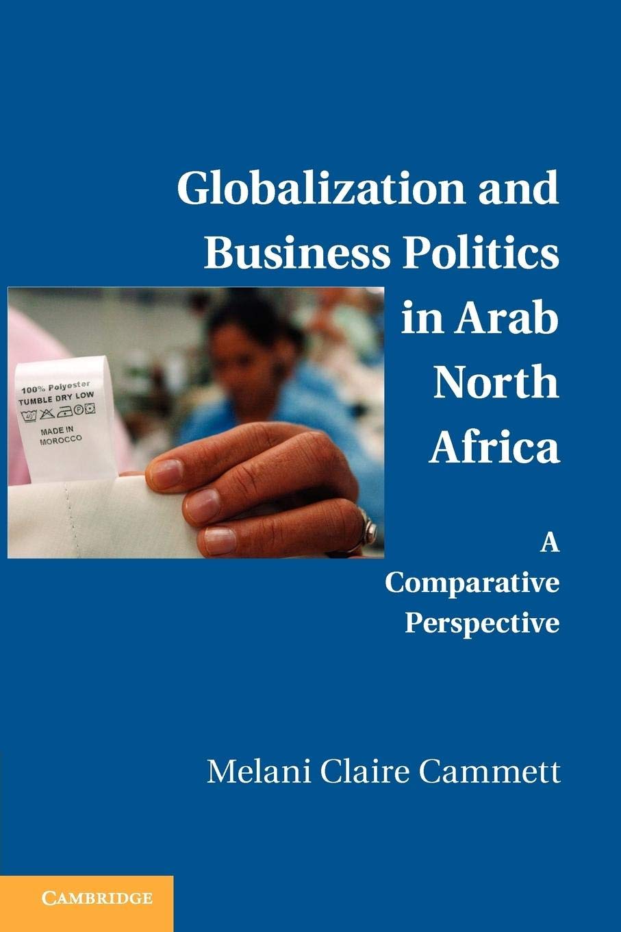 Globalization and Business Politics in Arab North Africa: A Comparative Perspective