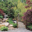 Serene Gardens: Creating Japanese Design and Detail in the Western Garden (IMM Lifestyle Books) Practical Introduction to the Tradition of Zen Gardening with Natural Wood, Bamboo, Rocks, and Pebbles