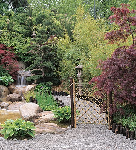 Serene Gardens: Creating Japanese Design and Detail in the Western Garden (IMM Lifestyle Books) Practical Introduction to the Tradition of Zen Gardening with Natural Wood, Bamboo, Rocks, and Pebbles
