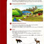 Basic Vocabulary in Use: 60 Units of Vocabulary Practice in North American English With Answers