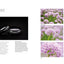 Digital Macro & Close-up Photography: New Edition