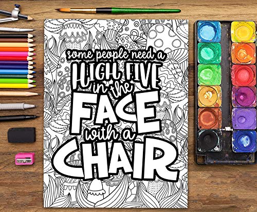 A Snarky Adult Colouring Book: Some People Need a High-Five, In the Face, With a Chair