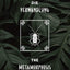 Die Verwandlung / The Metamorphosis: Bilingual Edition German - English  Side By Side Translation  Parallel Text Novel For Advanced Language Learning  Learn German With Stories