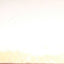 Diane Arbus: An Aperture Monograph