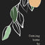 Coming Home to Her: Poems about love, sexuality, and being human