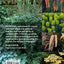 Gardening with Shape, Line and Texture: A Plant Design Sourcebook